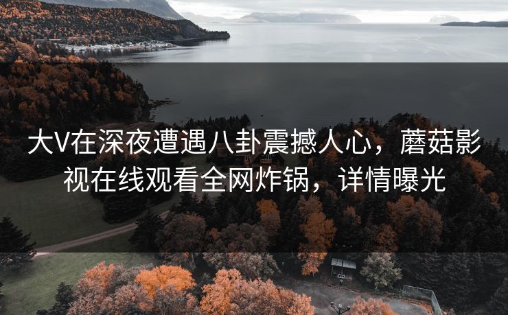 大V在深夜遭遇八卦震撼人心，蘑菇影视在线观看全网炸锅，详情曝光