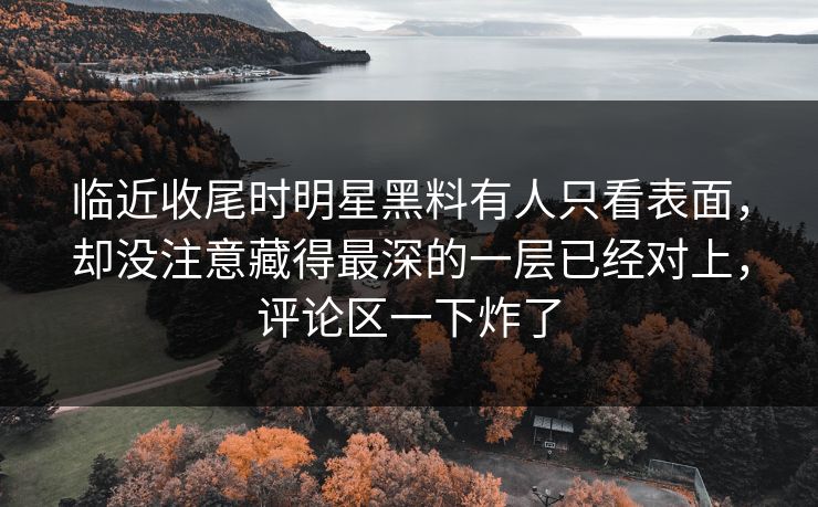 临近收尾时明星黑料有人只看表面，却没注意藏得最深的一层已经对上，评论区一下炸了