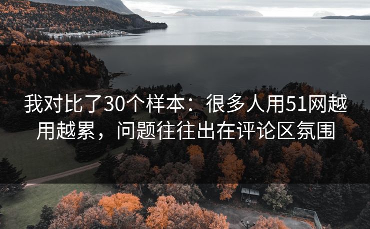 我对比了30个样本：很多人用51网越用越累，问题往往出在评论区氛围